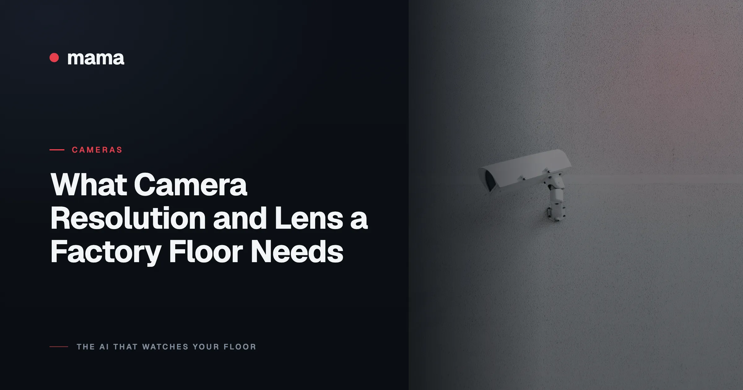 What Camera Resolution and Lens a Factory Floor Needs